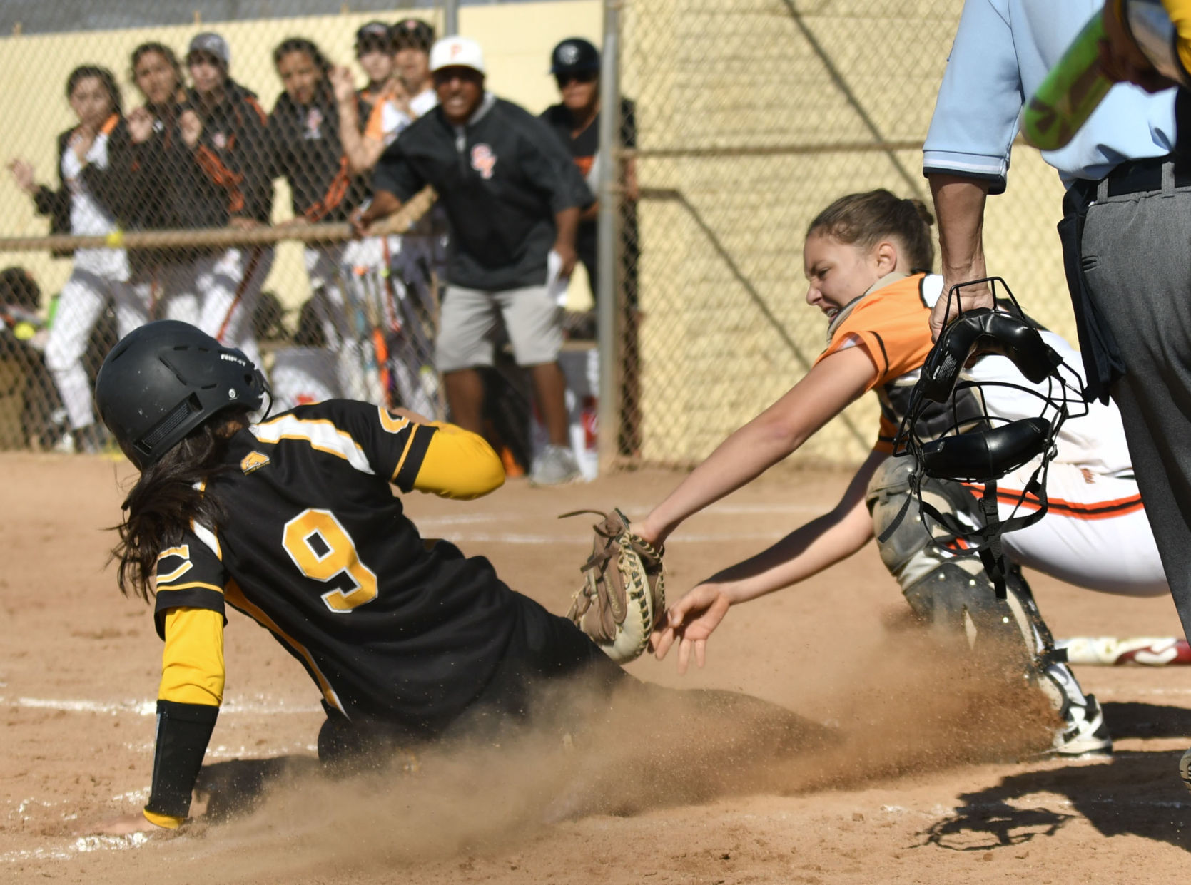 042018 SY Cabrillo softball 02.jpg
